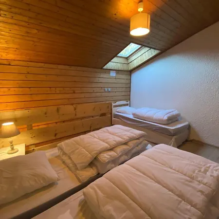 Lumineux Proche Du Linga, Wifi Et Parking, Balcon Sud/est - Fr-1-693-21 Châtel